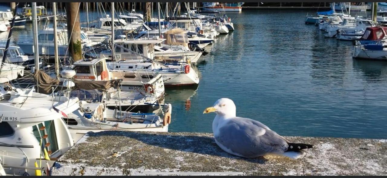 Magnifique Appartement L'Aigrette Dieppe Exteriér fotografie